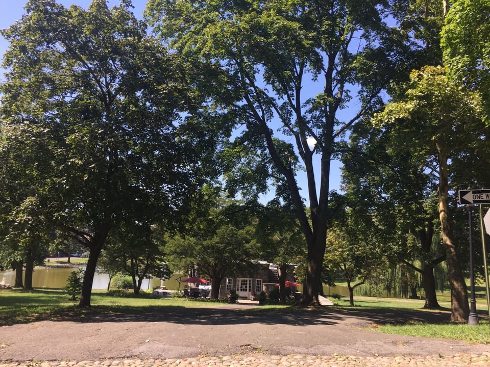 Downing Park