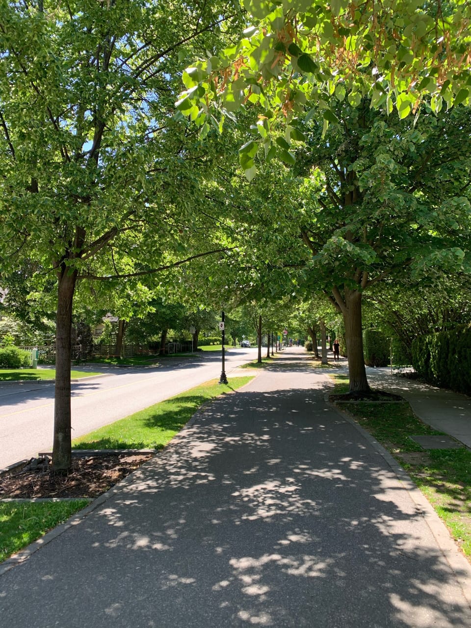 Abbott street beautiful walk to downtown or many beach access 