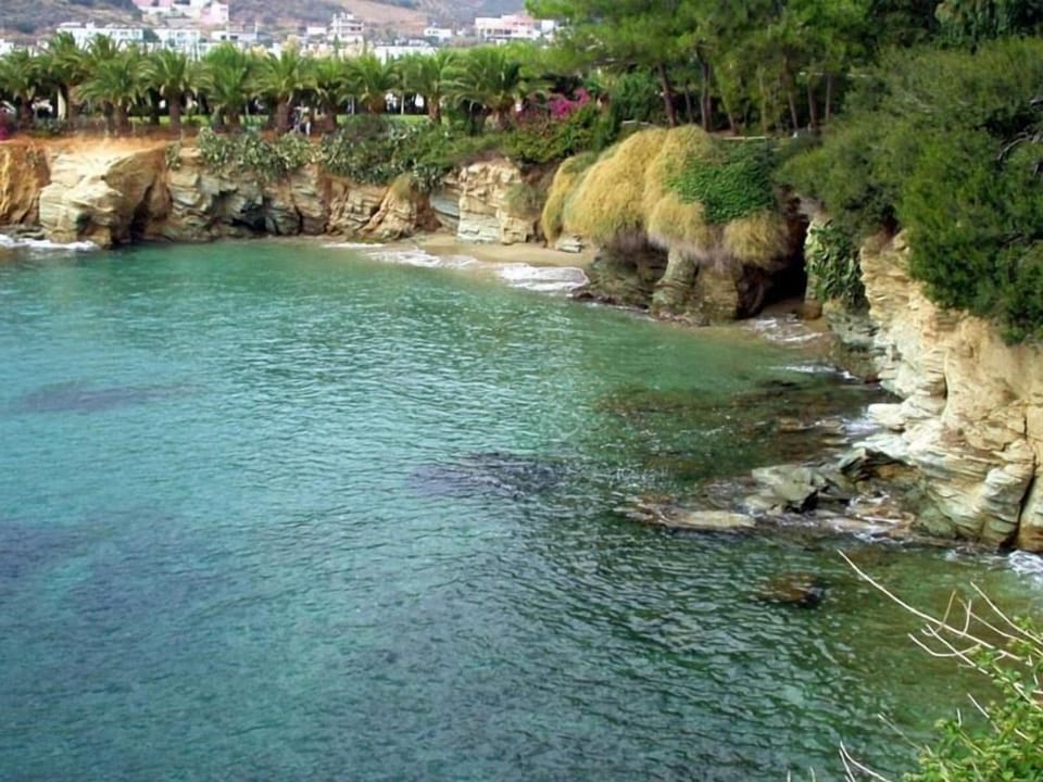 Studio, 1 Bedroom, Balcony, Pool View | Beach