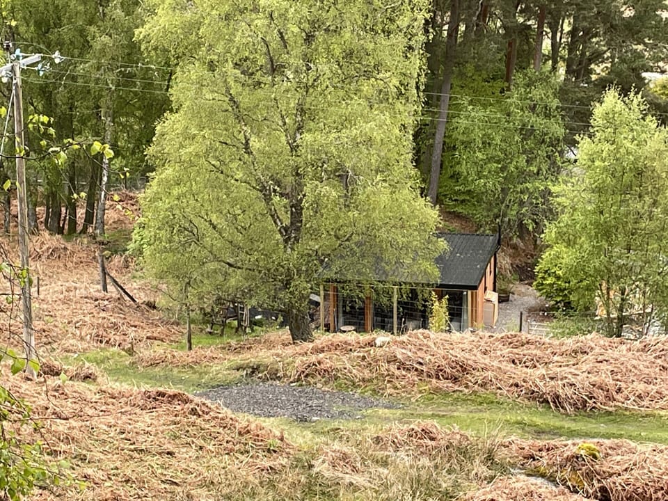 Nestled in on the edge of the estate 