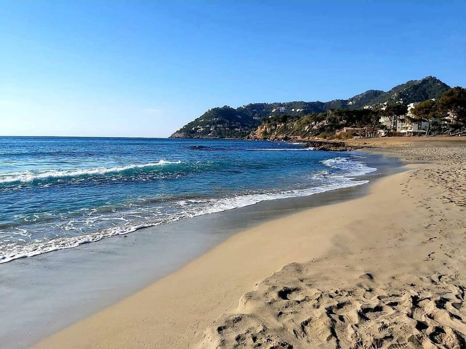 Canyamel beach