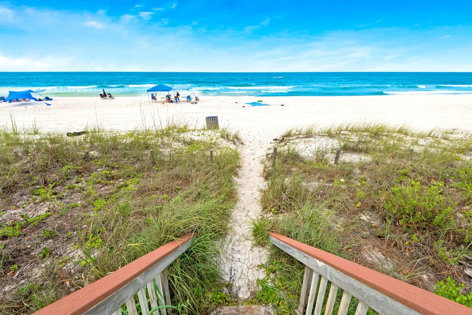 Beach Access Latitude 29