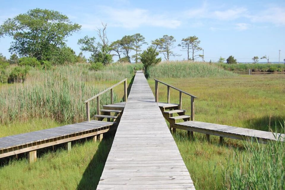 Shared Peir, perfect for spending the afternoon crabbing, birdwatching or just relaxing!