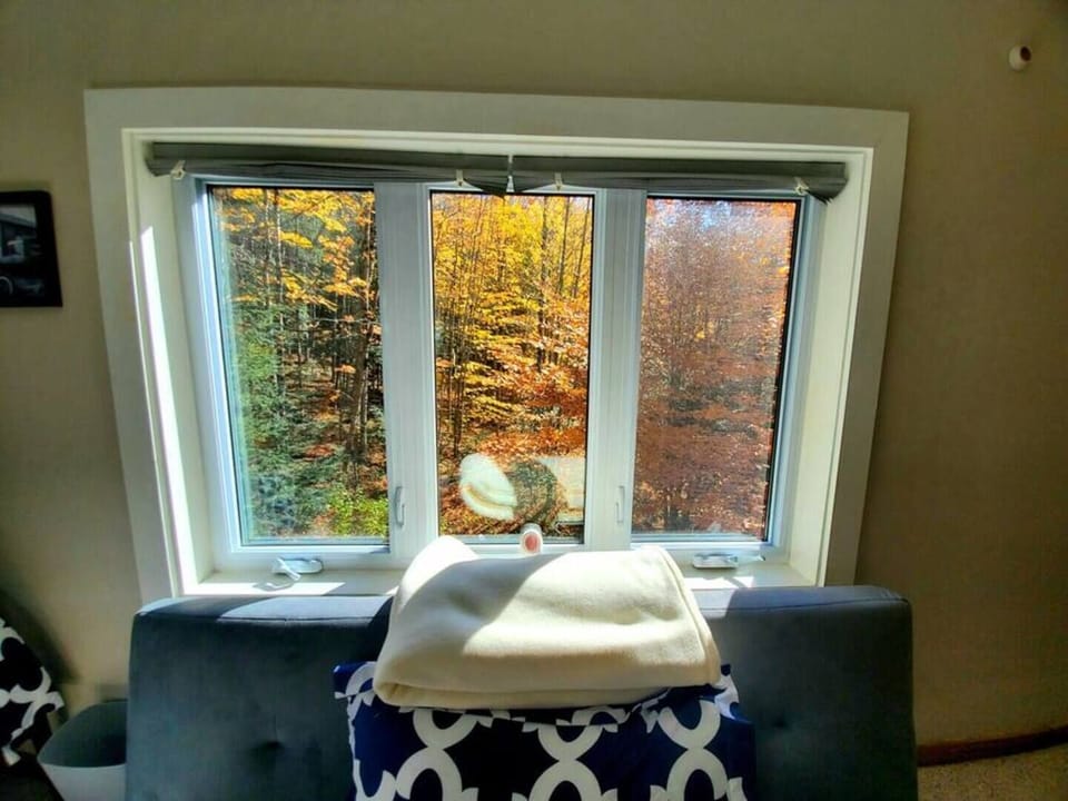 View from Bunk Room