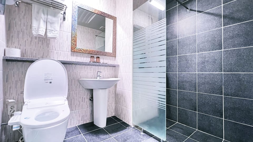 Shower, hair dryer, heated floors, towels