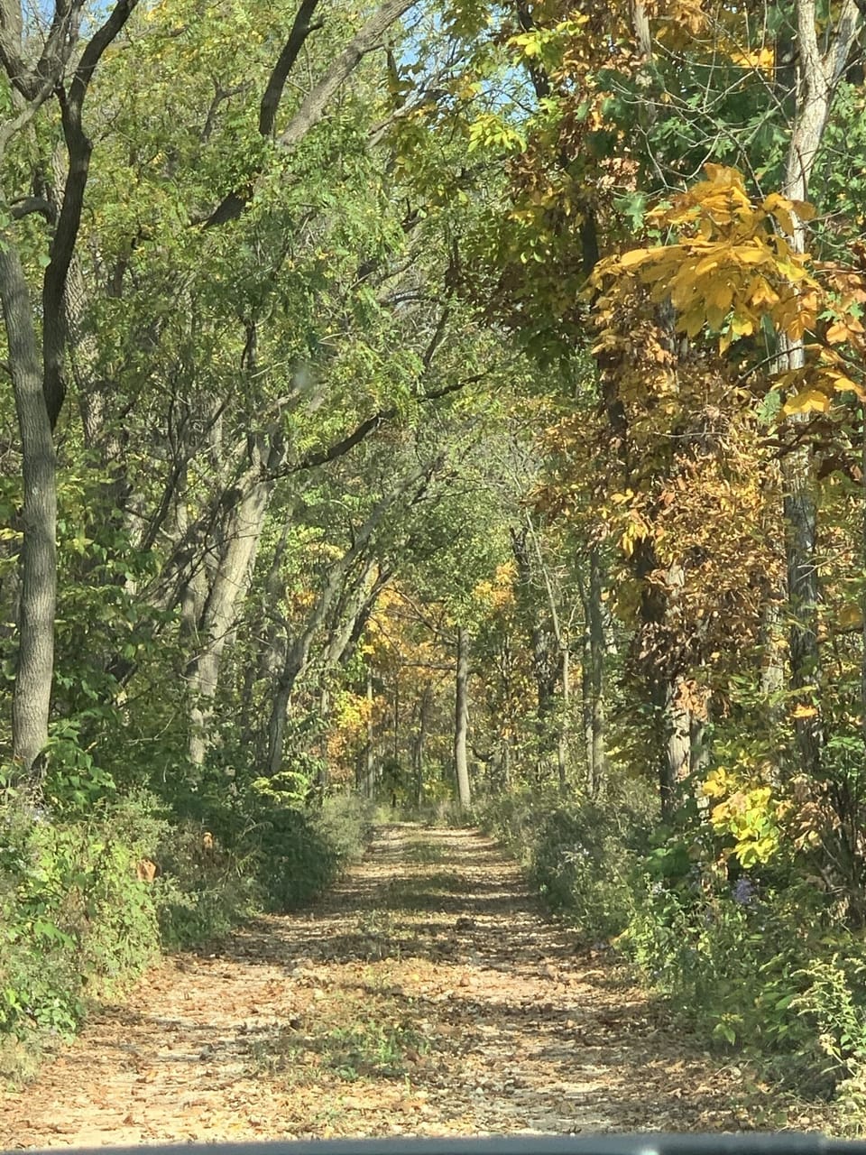 N. Brown Rd - a quiet road with only a few homes. 