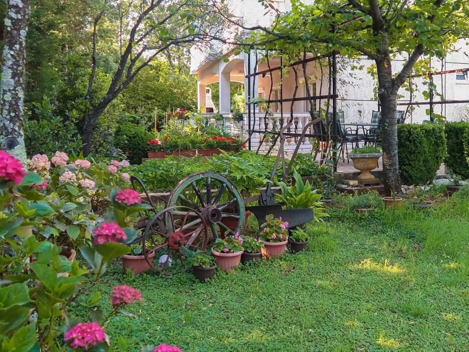 Flower, Plant, Building, Window, Tree, Leaf, Botany, Wheel, Vegetation, Grass