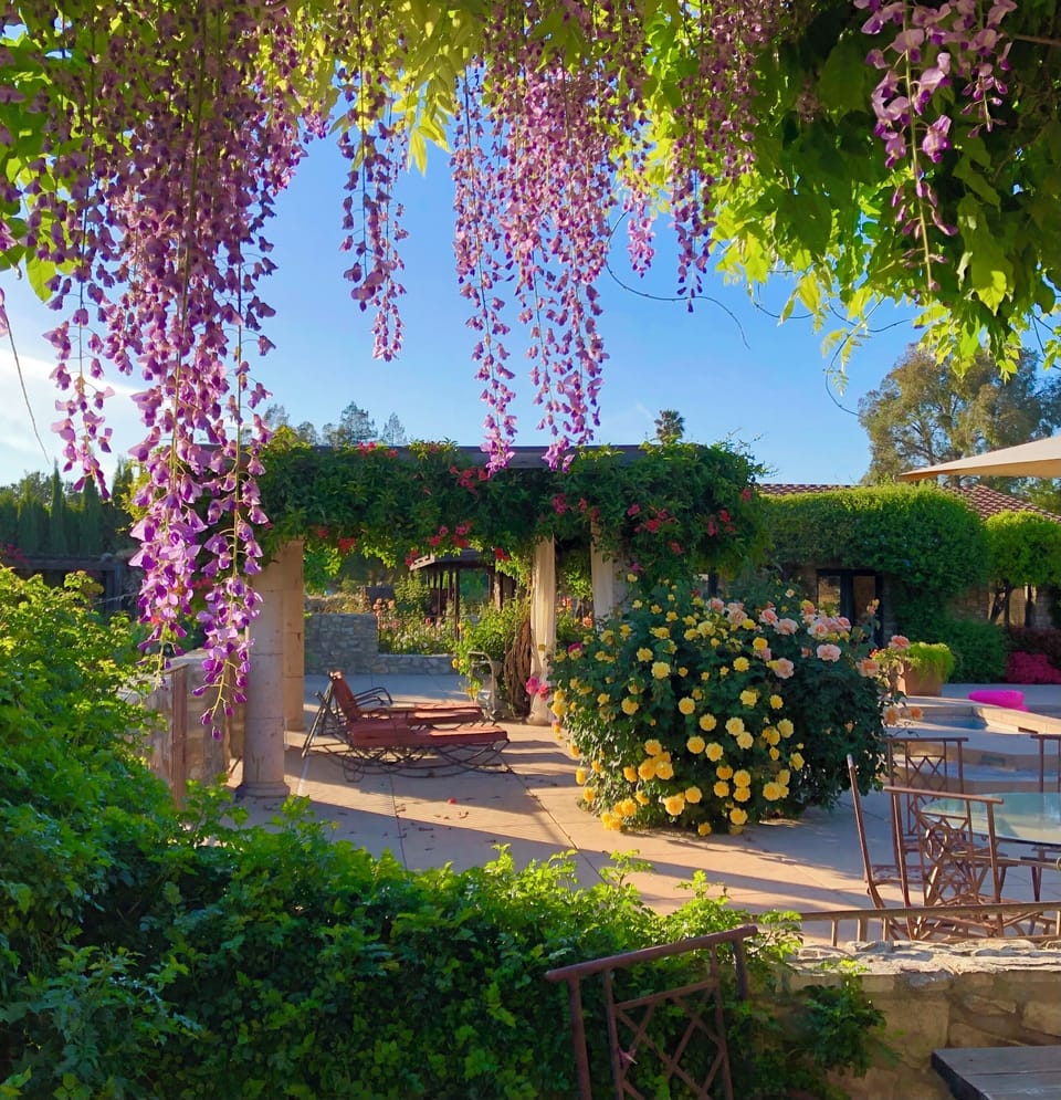 Spring flowers around the pool pergola