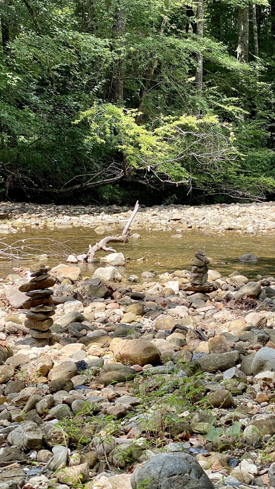 The creek at the end of the path
