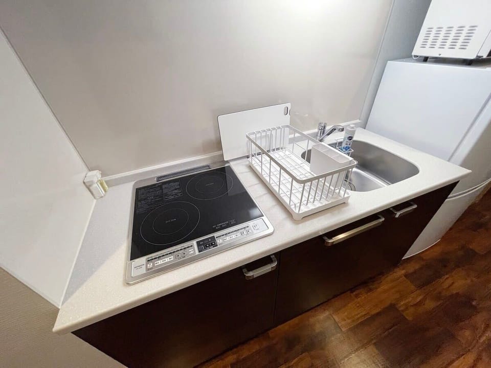 Kitchen Sink and  induction