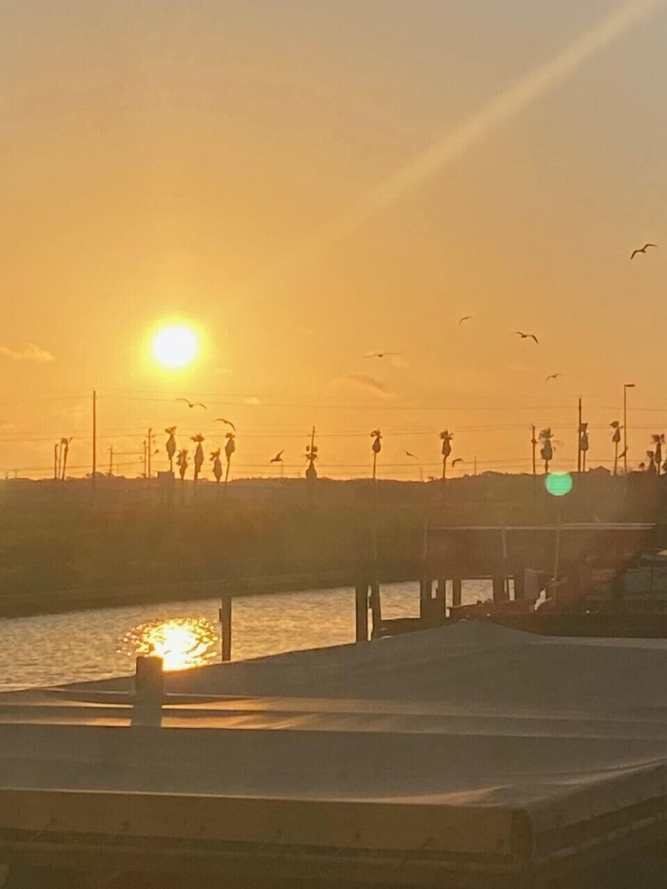 Golden sunset illuminates the waterfront pier where people gather to watch the day's end, with seabirds soaring overhead.