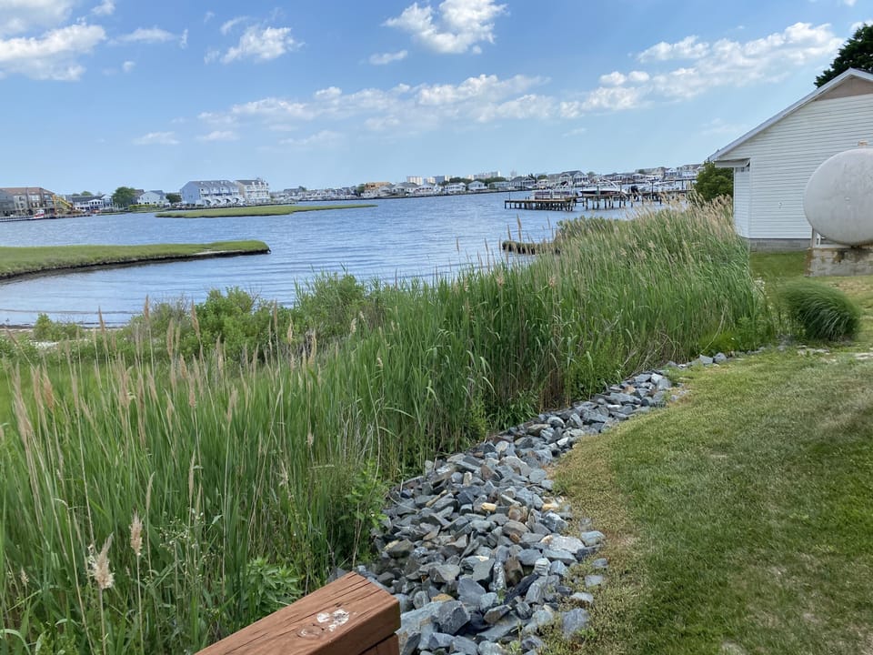 Views of the Bay from the back door 