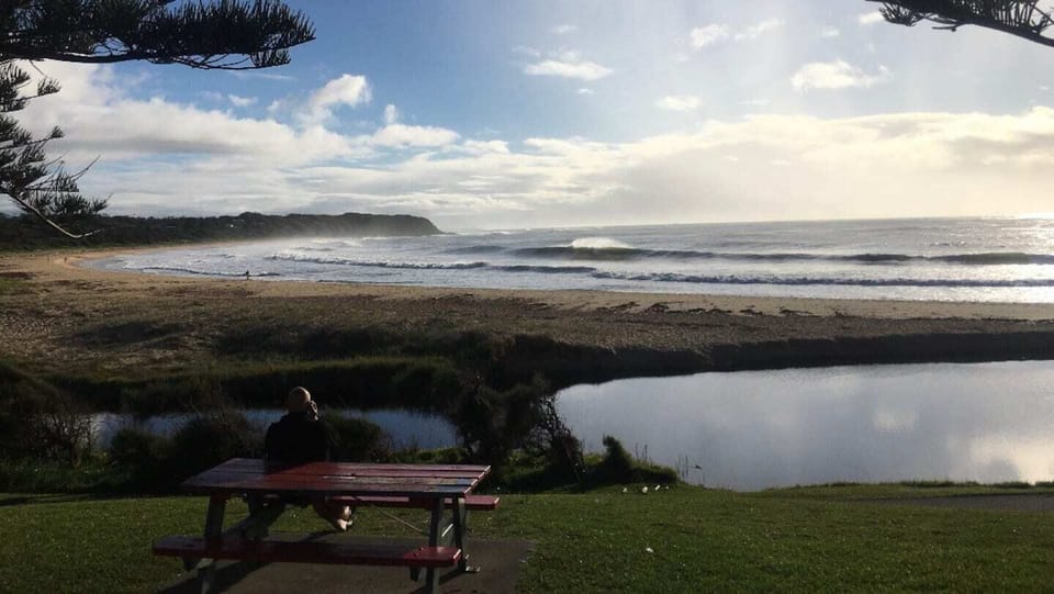 Dog friendly beach across road