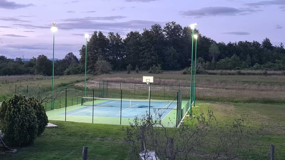 Sport court
