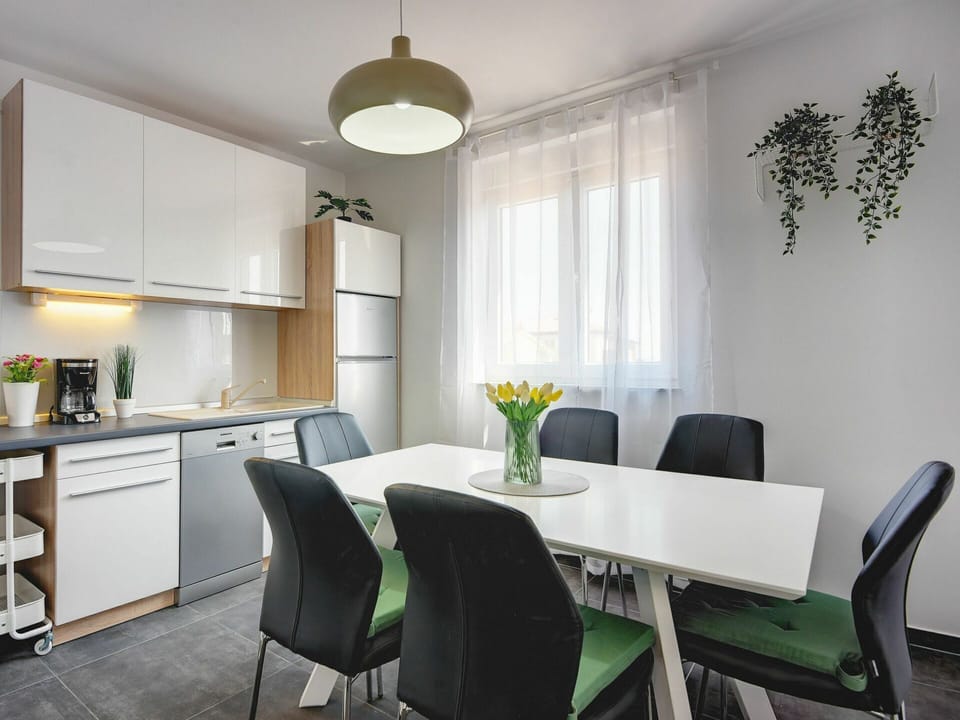 Furniture, Cabinetry, Property, Plant, Countertop, White, Building, Chair, Green, Lighting