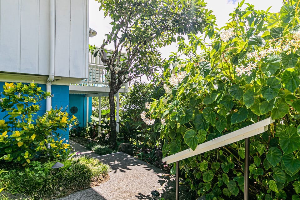 Follow the flowery path down steps to the Guest Rooms