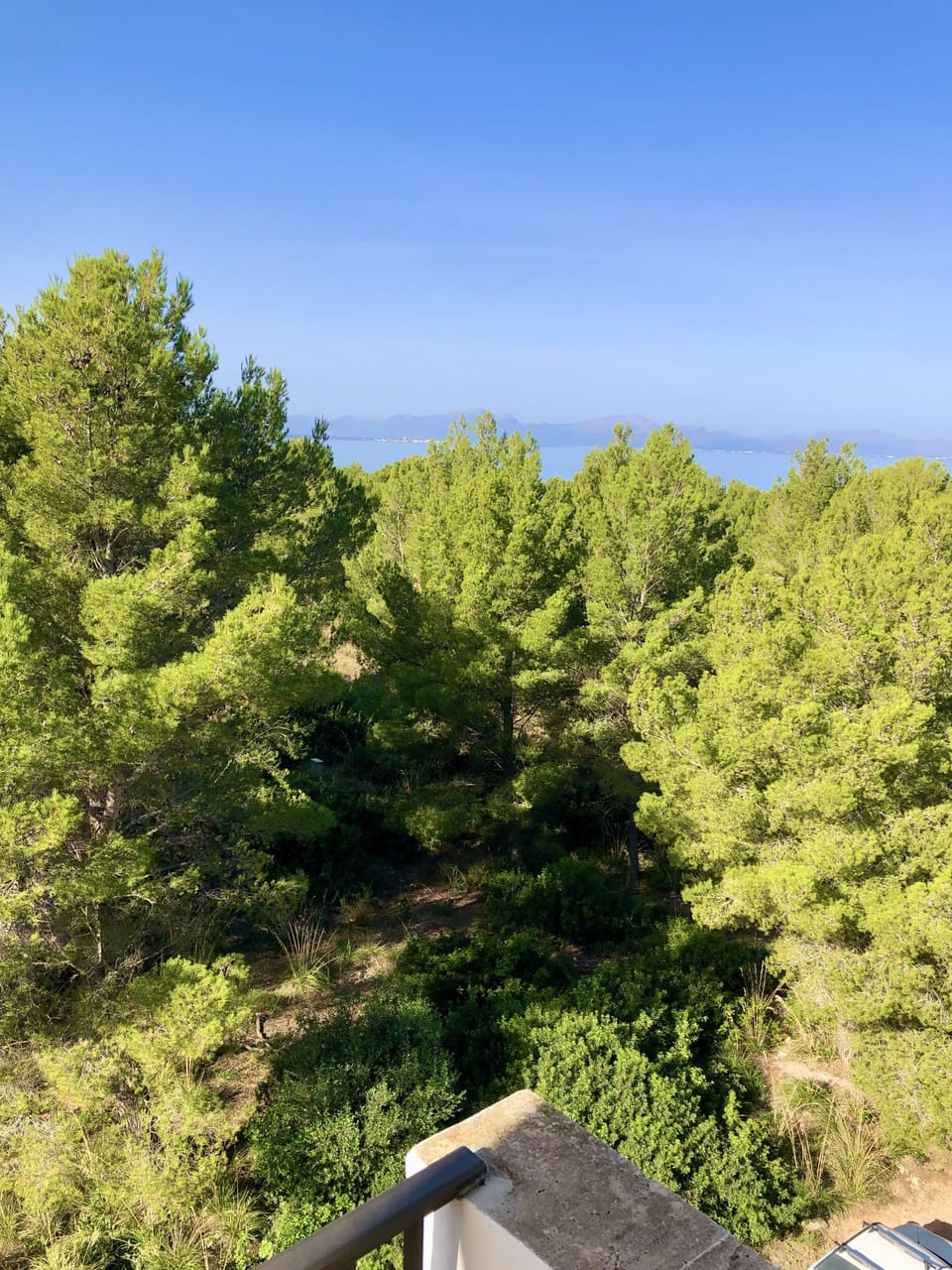 View from property