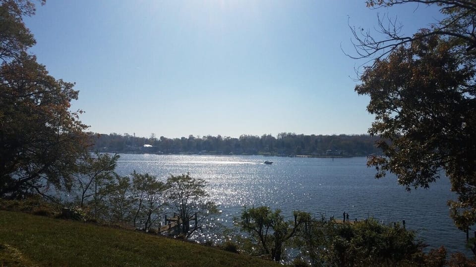 Watch the boating and wildlife action.