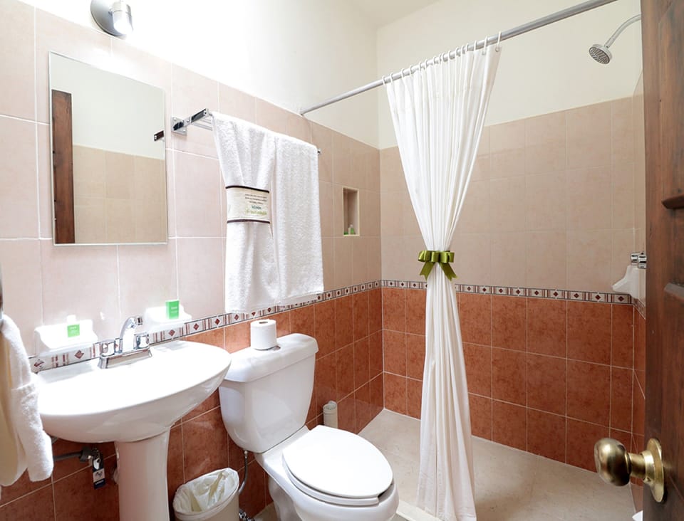 Shower, free toiletries, towels