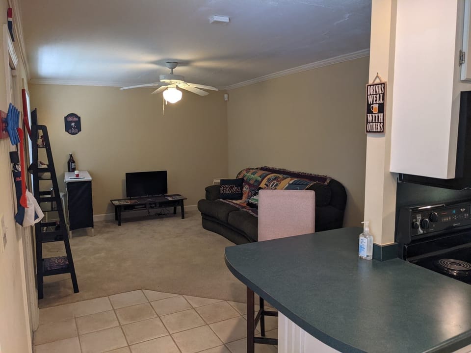 Living Room with Bar Area, Smart TV, Sofa, & More!