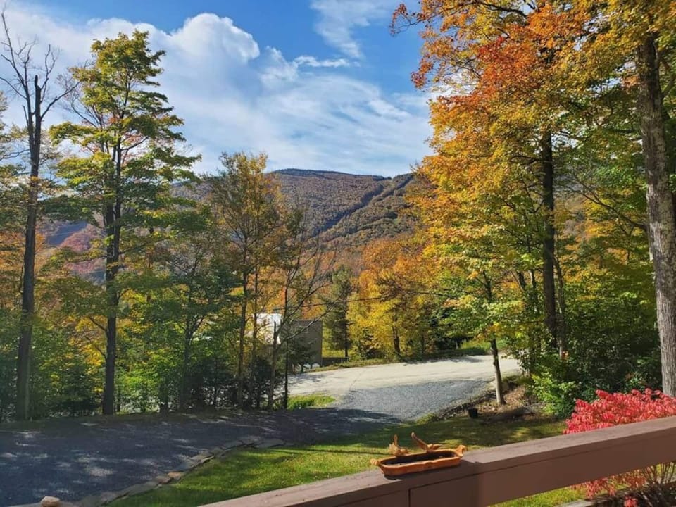 View from the deck toward Sugarbush