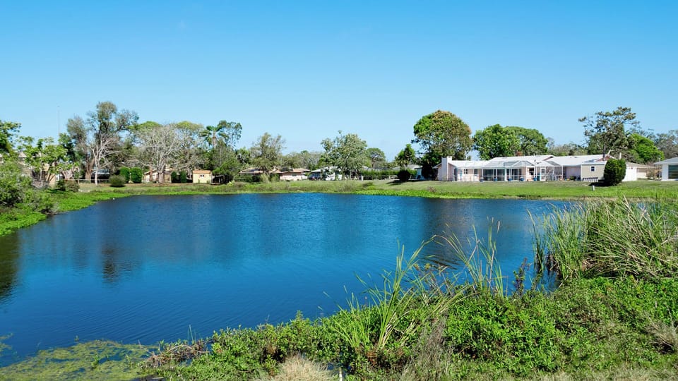 Right on the pond's edge.