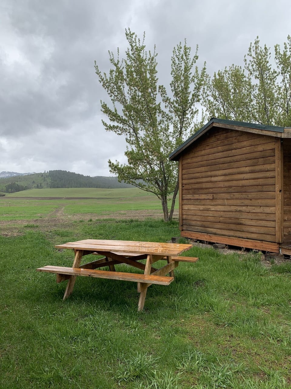 Picnic table on side of cabin