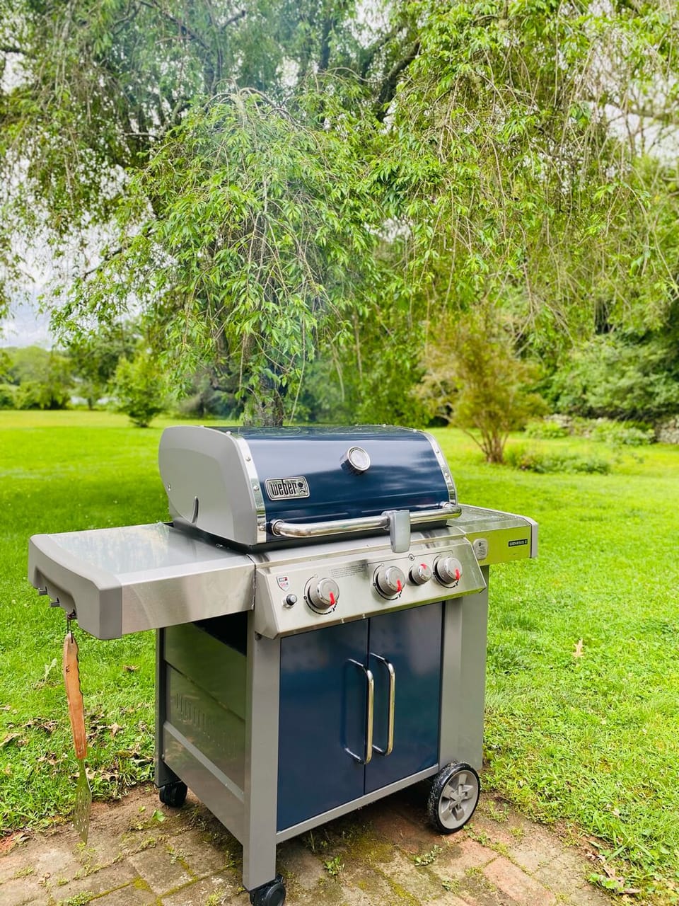 New grill