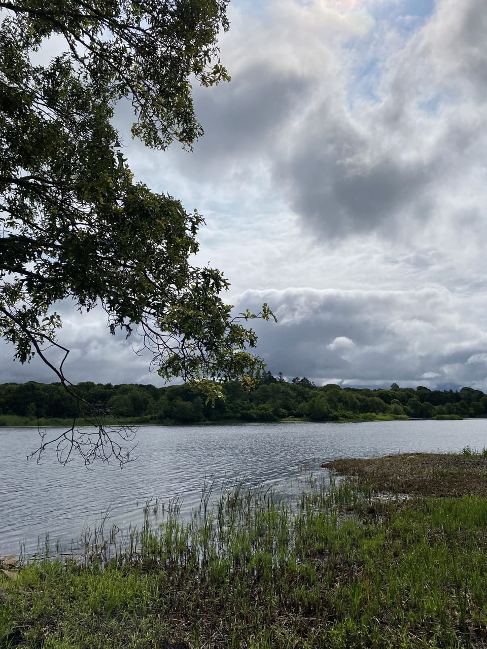 Quicksand Pond