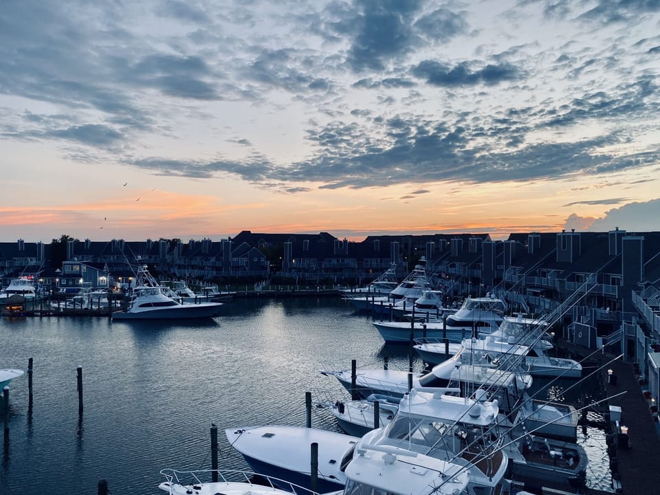 Marina