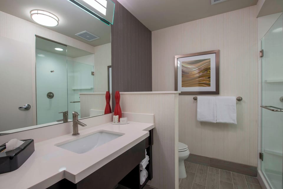 Free toiletries, hair dryer, towels