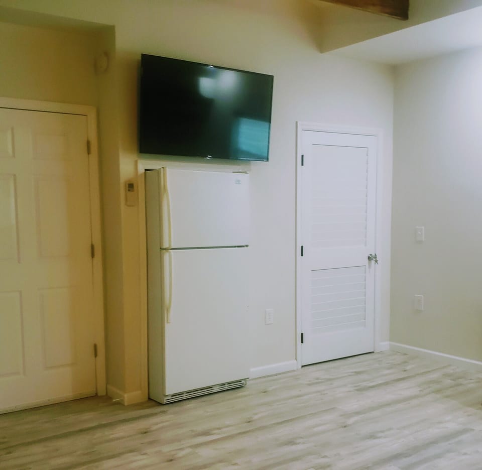 50 inch TV and full size refrigerator 