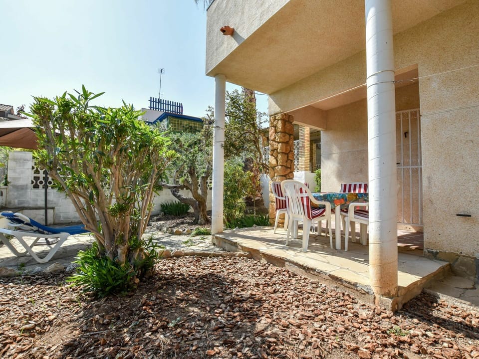 Plant, Property, Building, Sky, Shade, Land Lot, Road Surface, Residential Area, Wall, Public Space