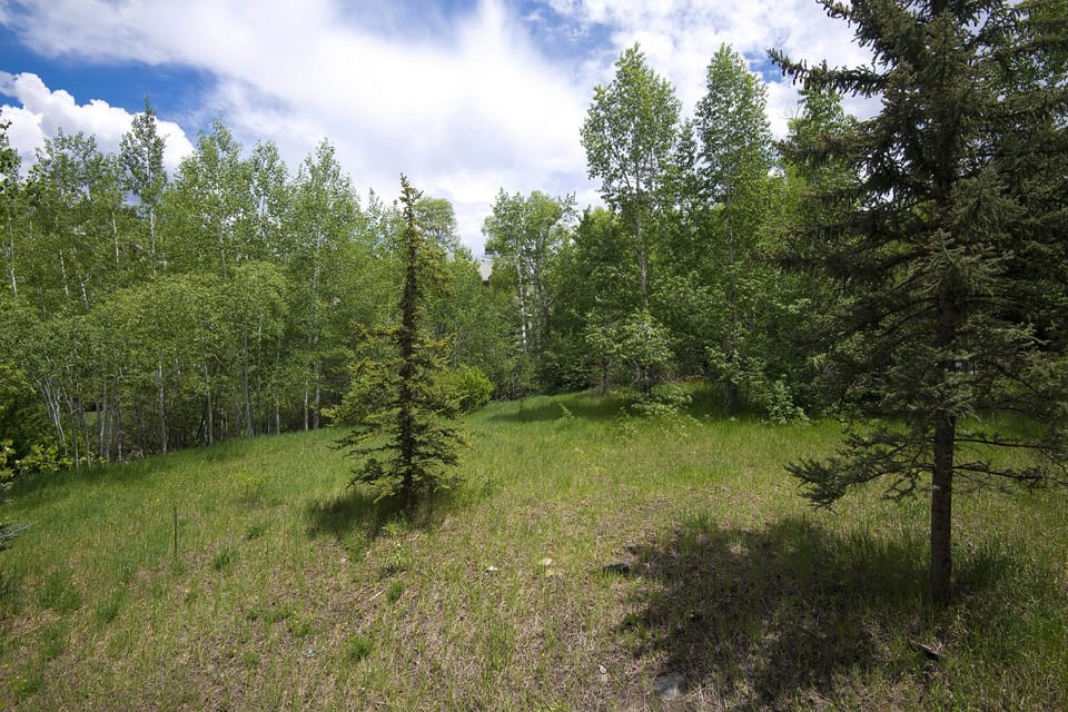 TownsendPL-B106-MLS_18