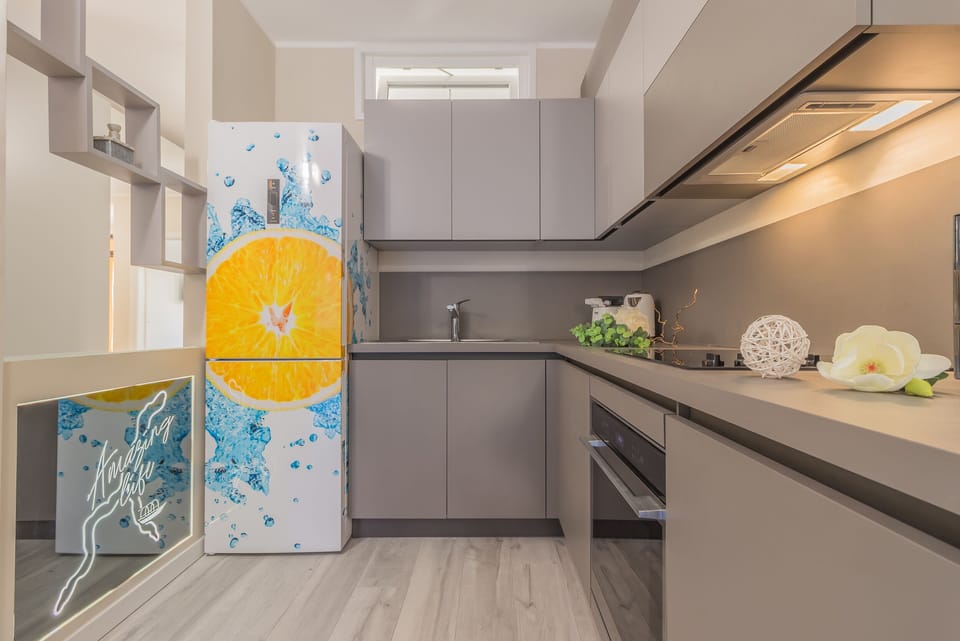 Luxury Apartment | Private kitchen | Fridge, oven, stovetop, dishwasher