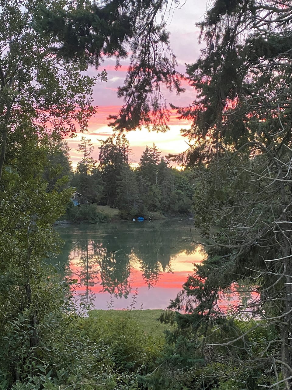 View from patio