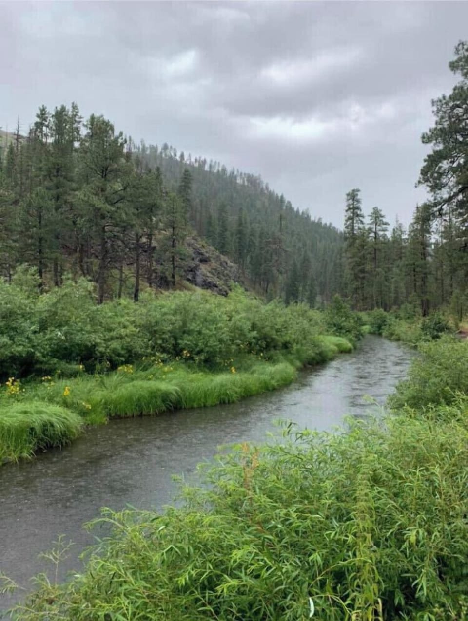 This pic was taken at the Black River just 30 minutes from the cabin.  