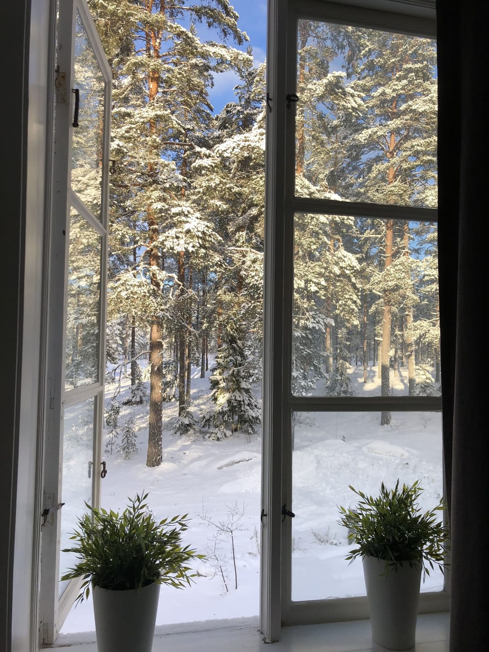 Single Room | View from room