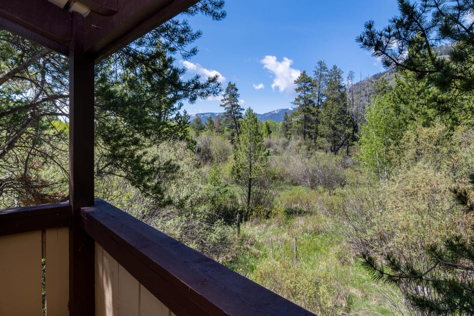 View from Patio