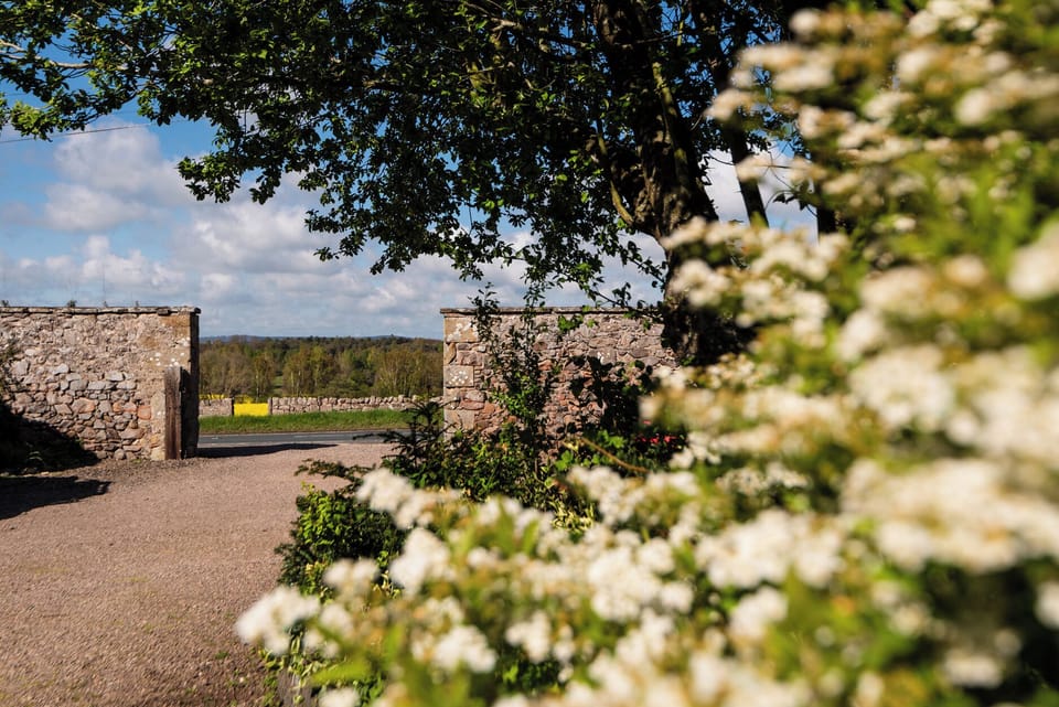 Cottage | Property grounds