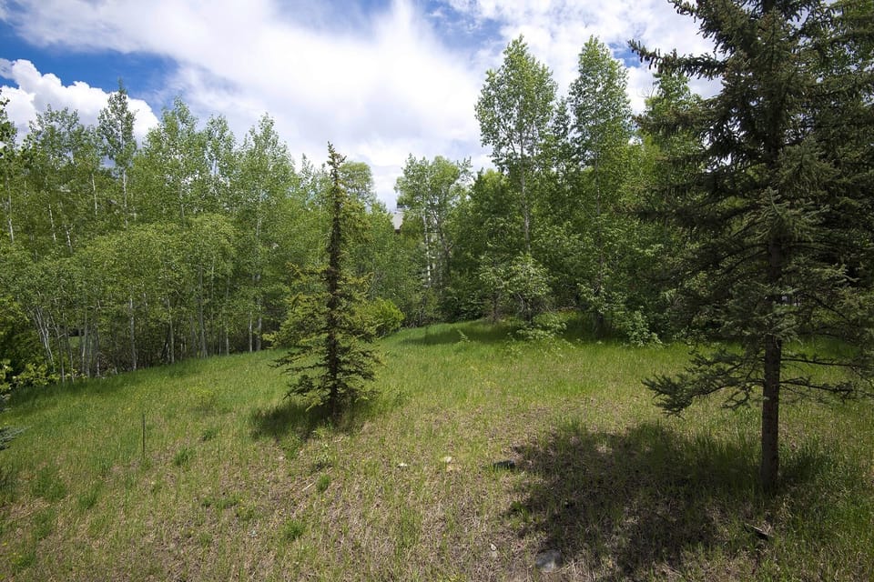 Condo, 1 Bedroom | Property grounds
