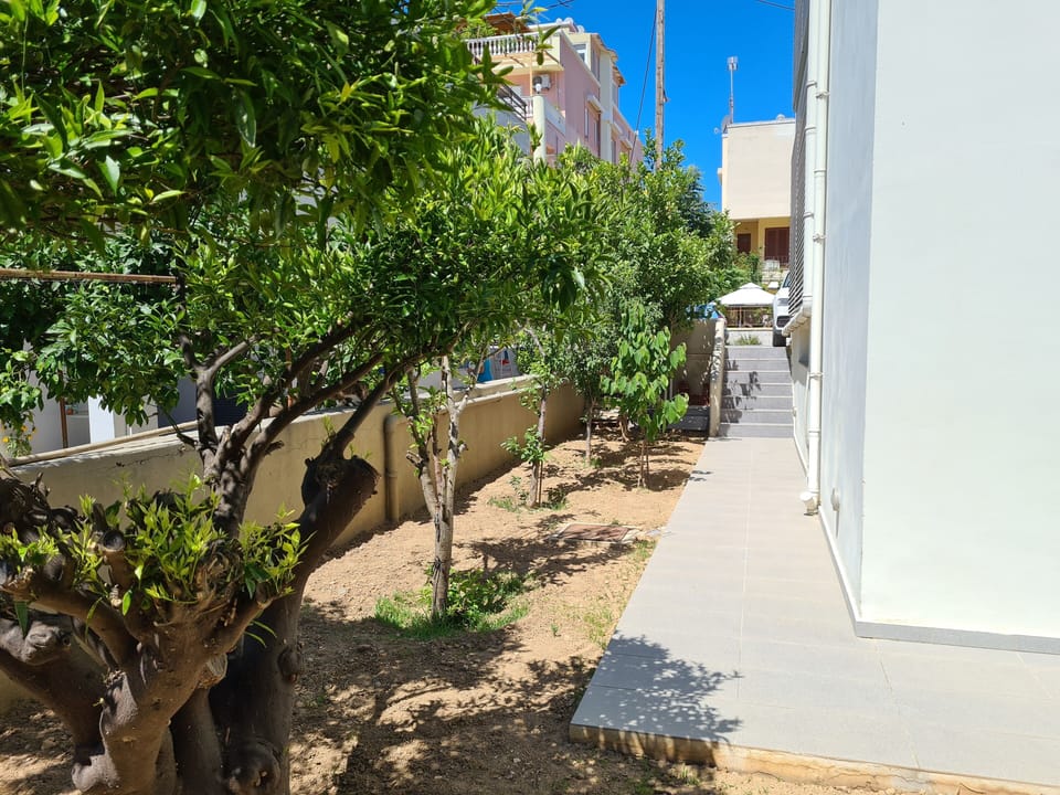 Communal garden