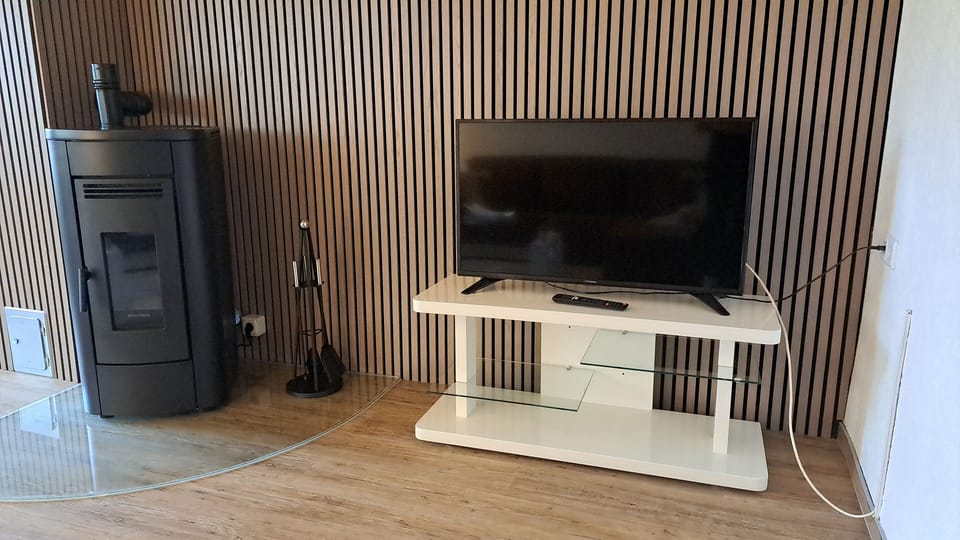 Television