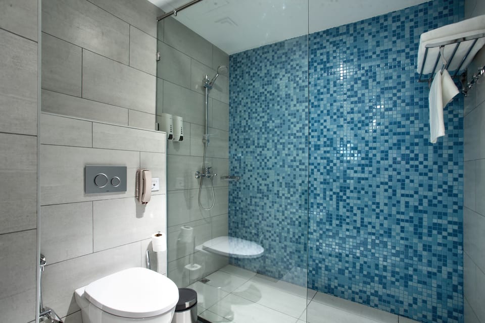 Shower, free toiletries, hair dryer, bidet