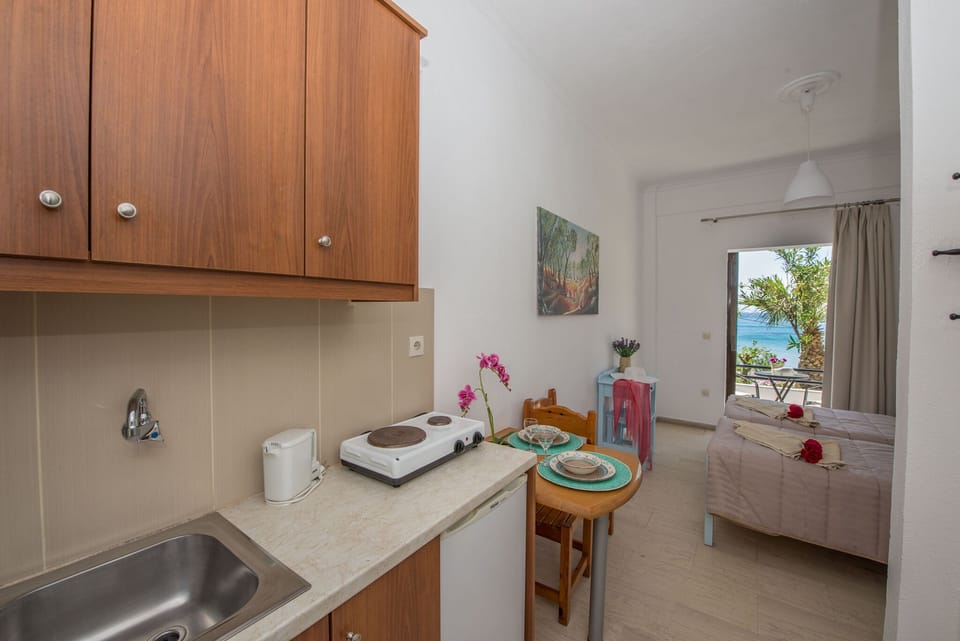 Spiros and Polyxeni Studio 2 Afionas Kitchen And Dining Area 