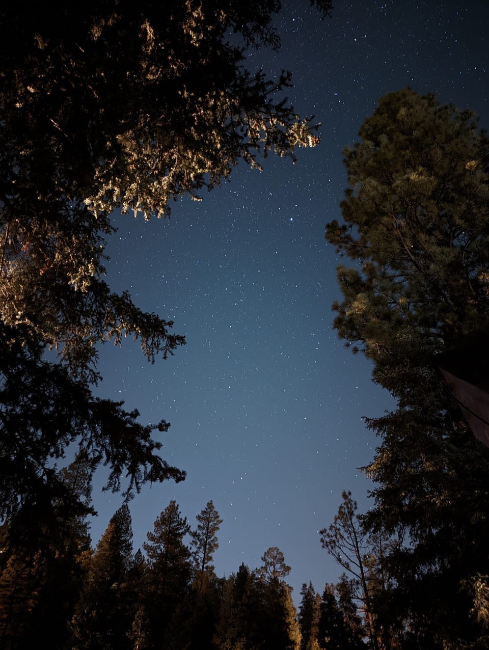 Lay out and enjoy the stars from the upper deck of the cabin (taken by a guest).
