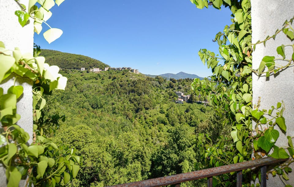 view-from-room