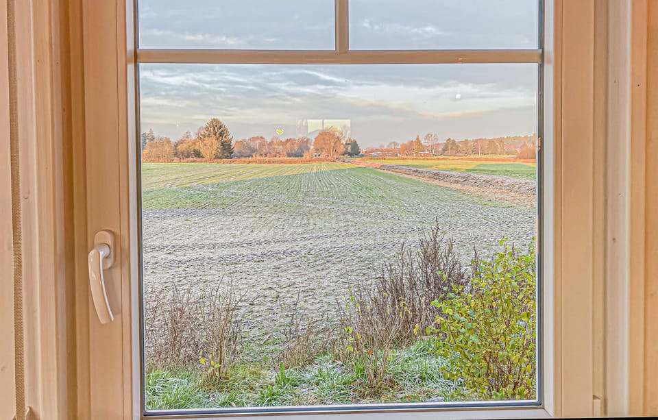 view-from-room
