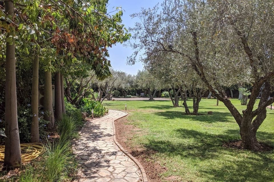 Allée des oliviers
Garden view