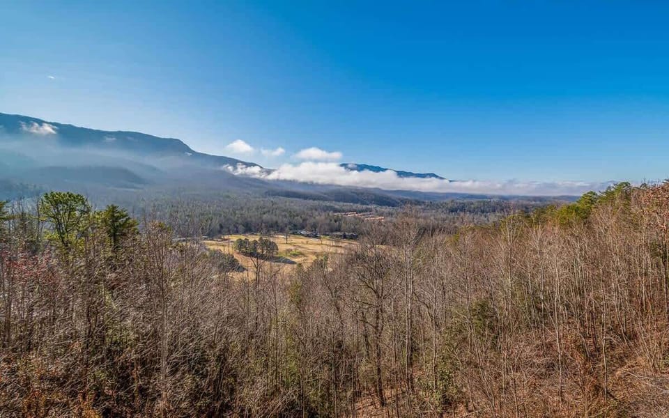 No matter the time of year, this view won't disappoint!